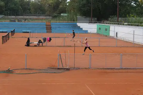 Aktivity