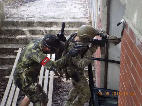 Aktivity