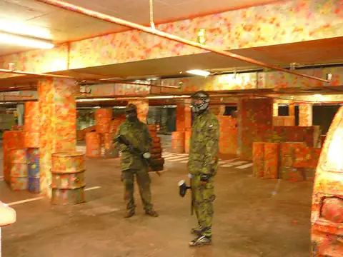 Aktivity