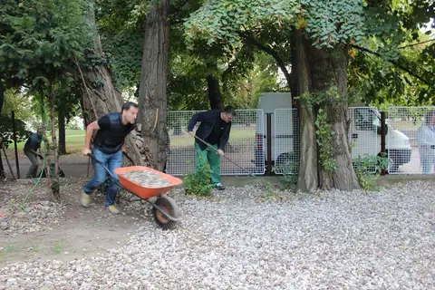 Dobrovolnictví