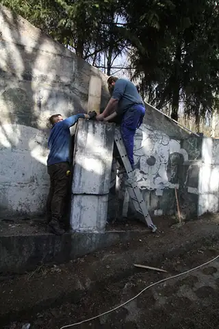 Dobrovolnictví