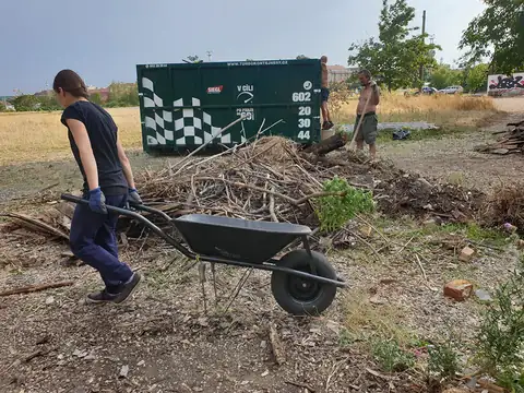 Dobrovolnictví