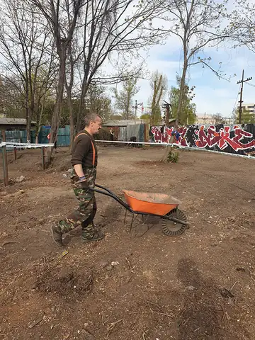 Dobrovolnictví