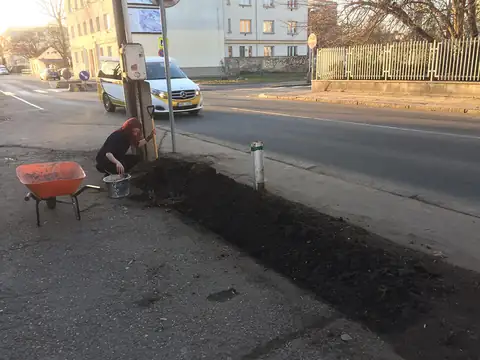 Dobrovolnictví