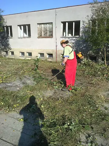 Dobrovolnictví