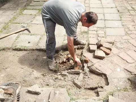 Dobrovolnictví