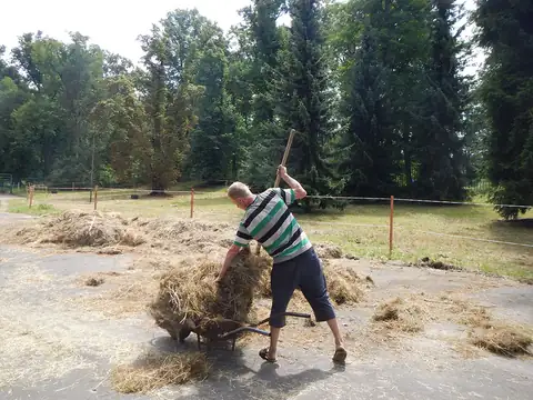 Dobrovolnictví