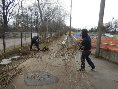 Dobrovolnictví