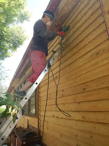 Dobrovolnictví