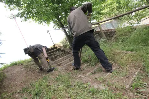 Dobrovolnictví